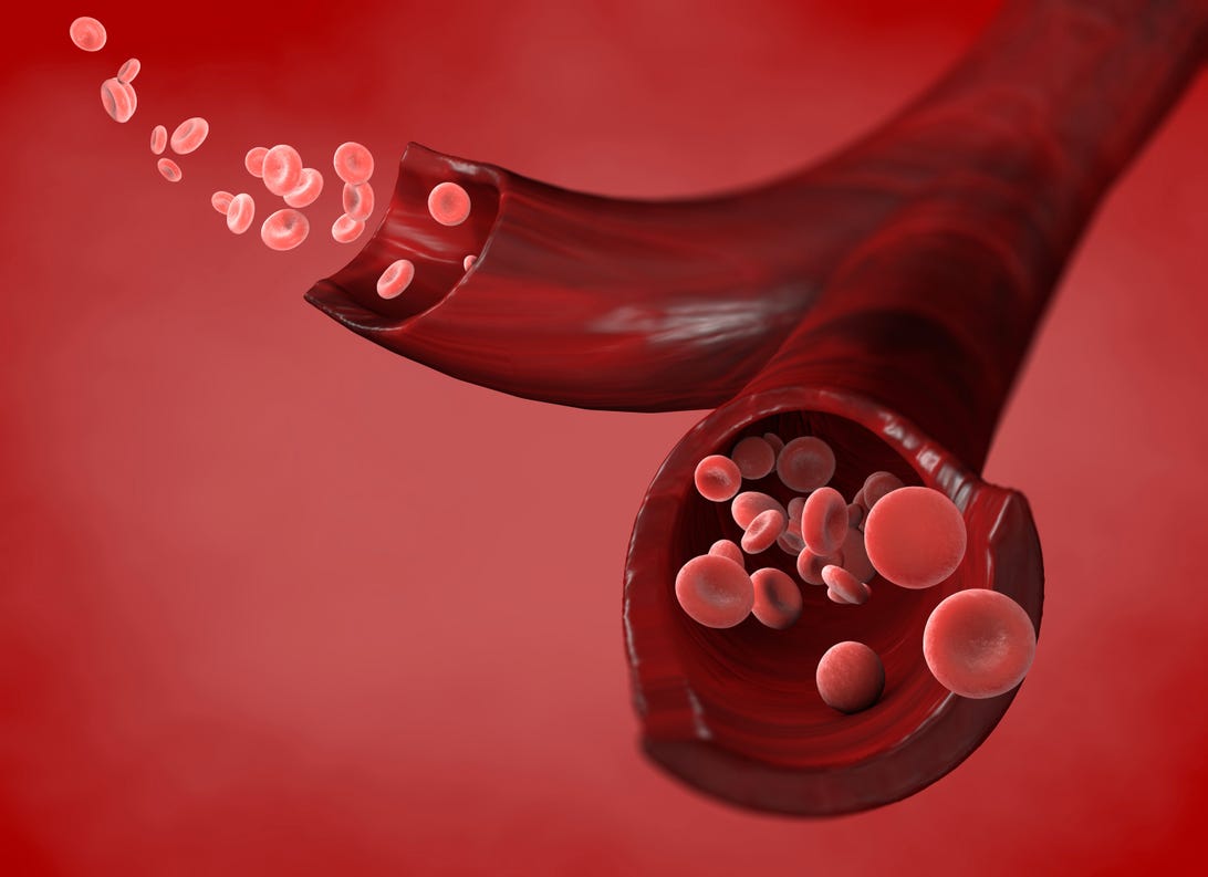 Red blood cells and blood flow through a vein, small spherical cells that contain hemoglobin