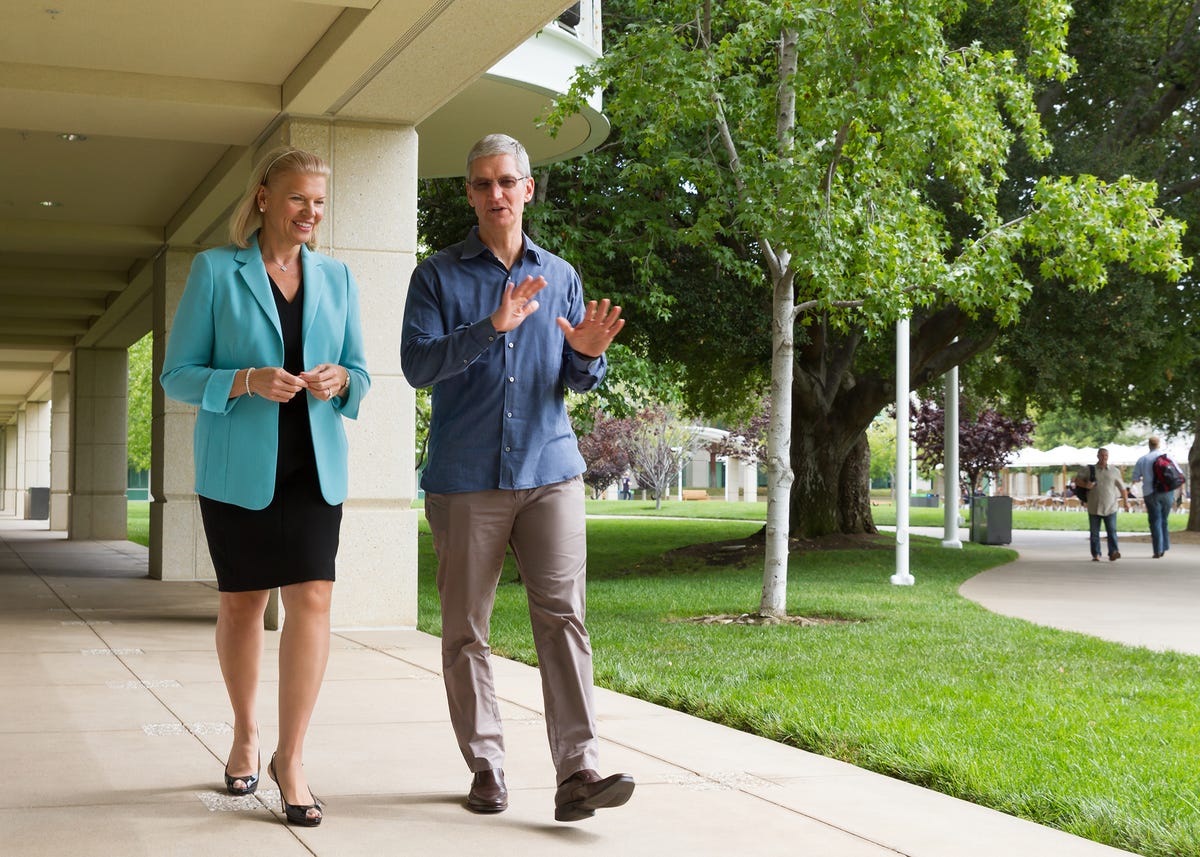 Apple CEO Tim Cook and IBM CEO Ginni Rometty