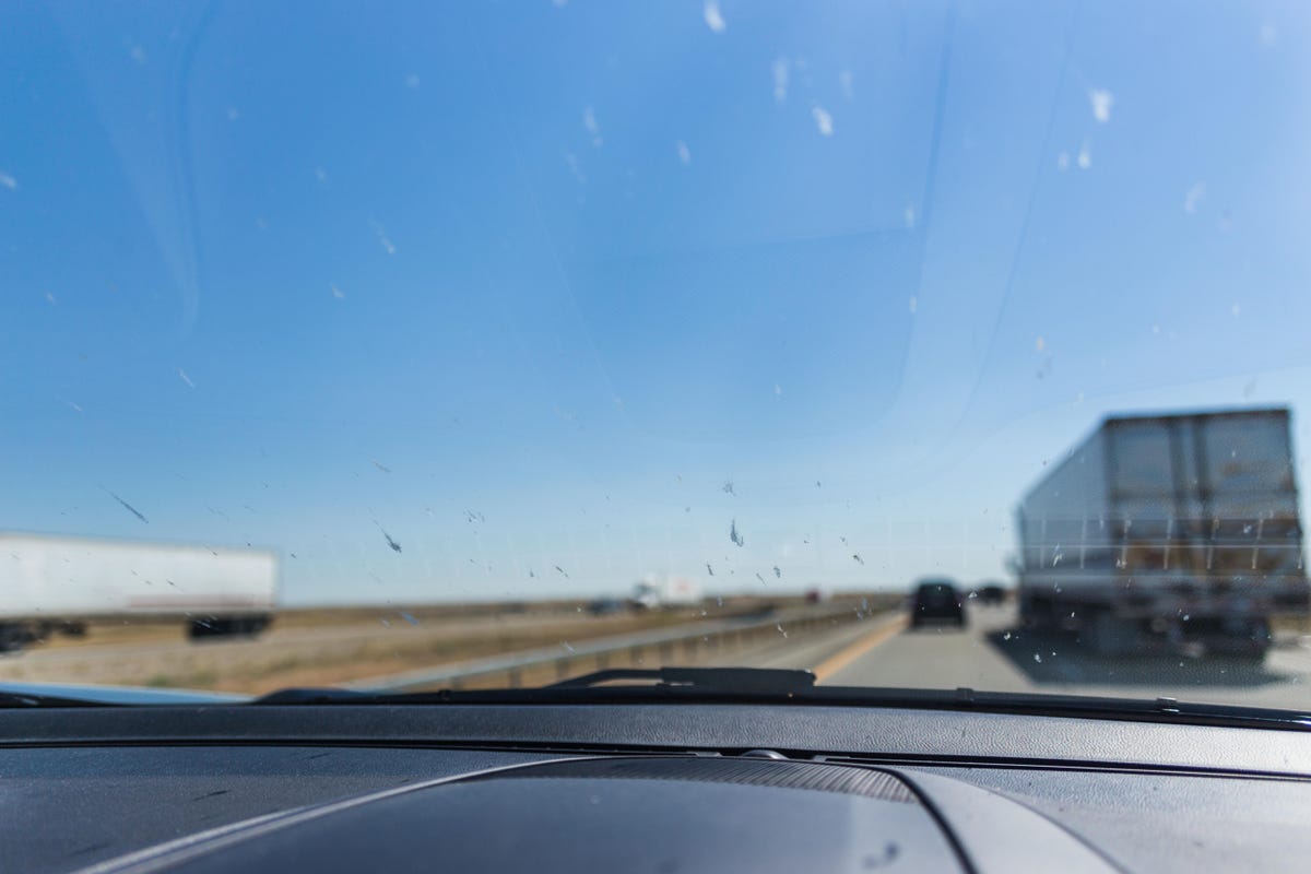 bugs-windshield.jpg