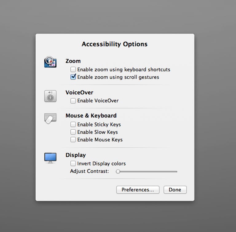 Accessibility Options panel in OS X