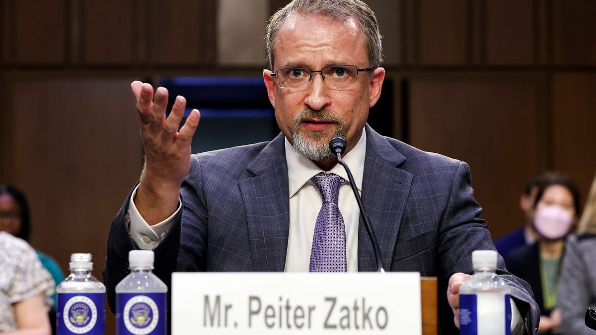 Peiter "Mudge" Zatko testifies before US lawmakers