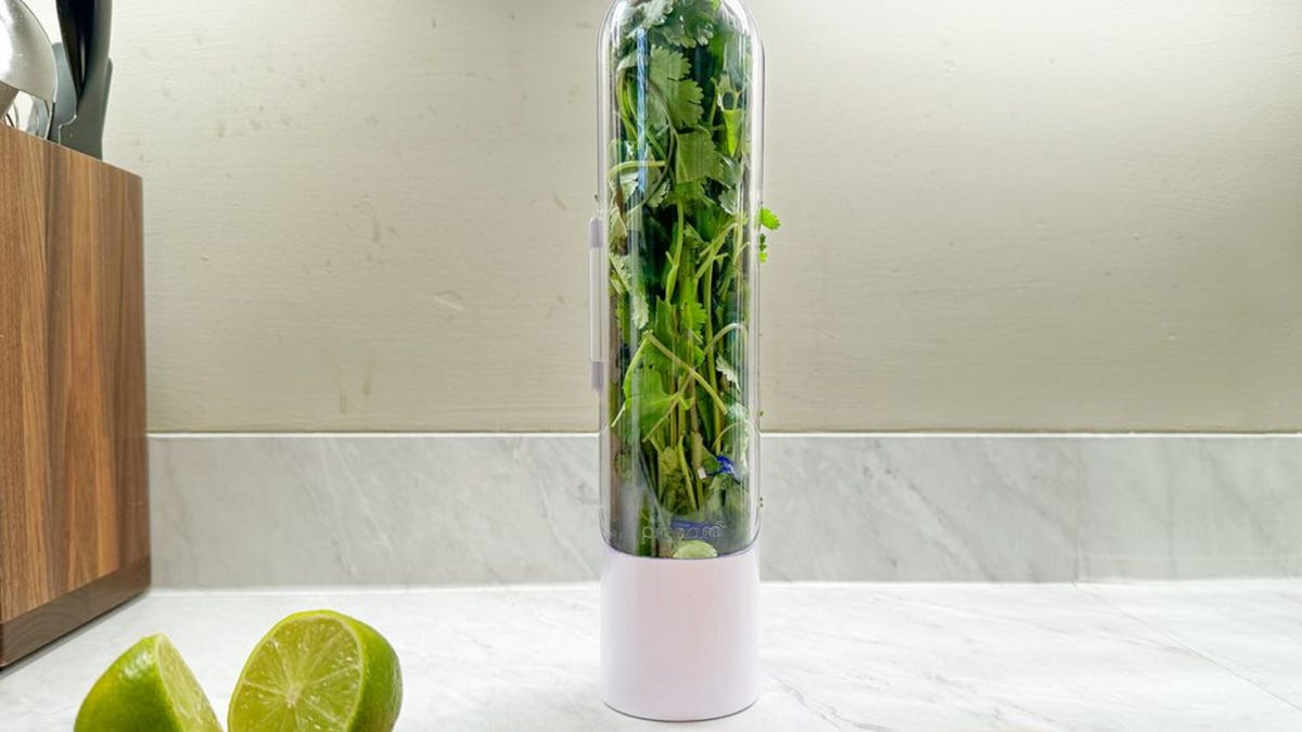 herb saver on counter