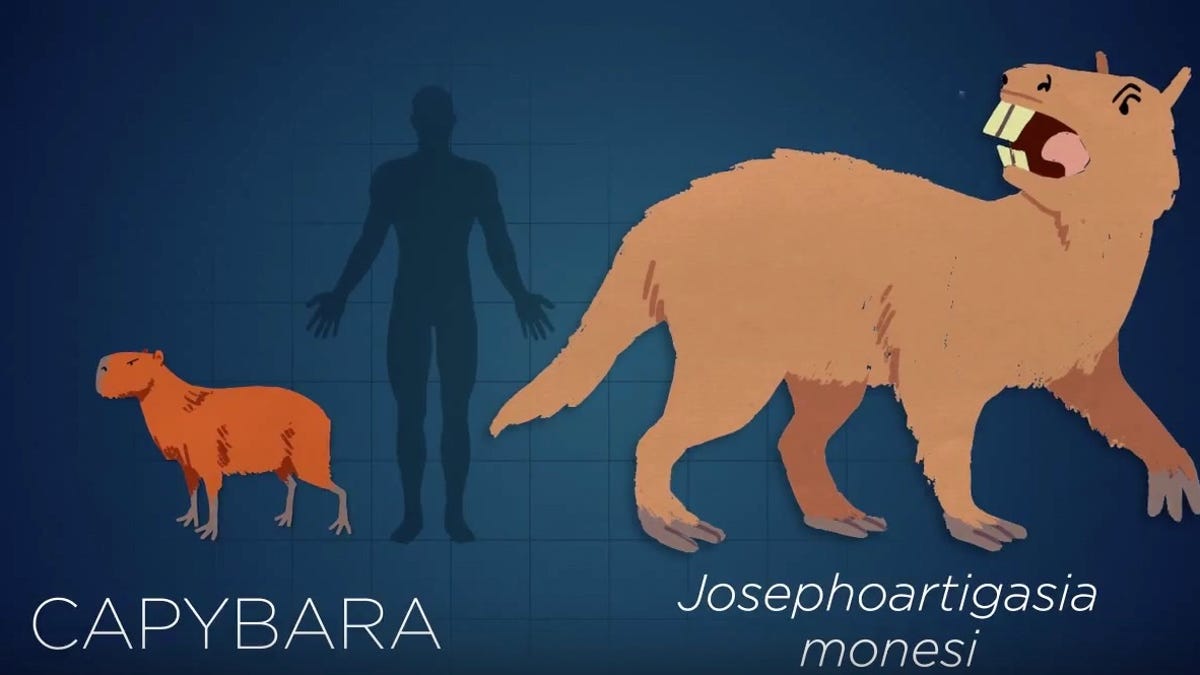 Evolution, in rhyme: Beasts great and small and their cousins big and tall  - CNET
