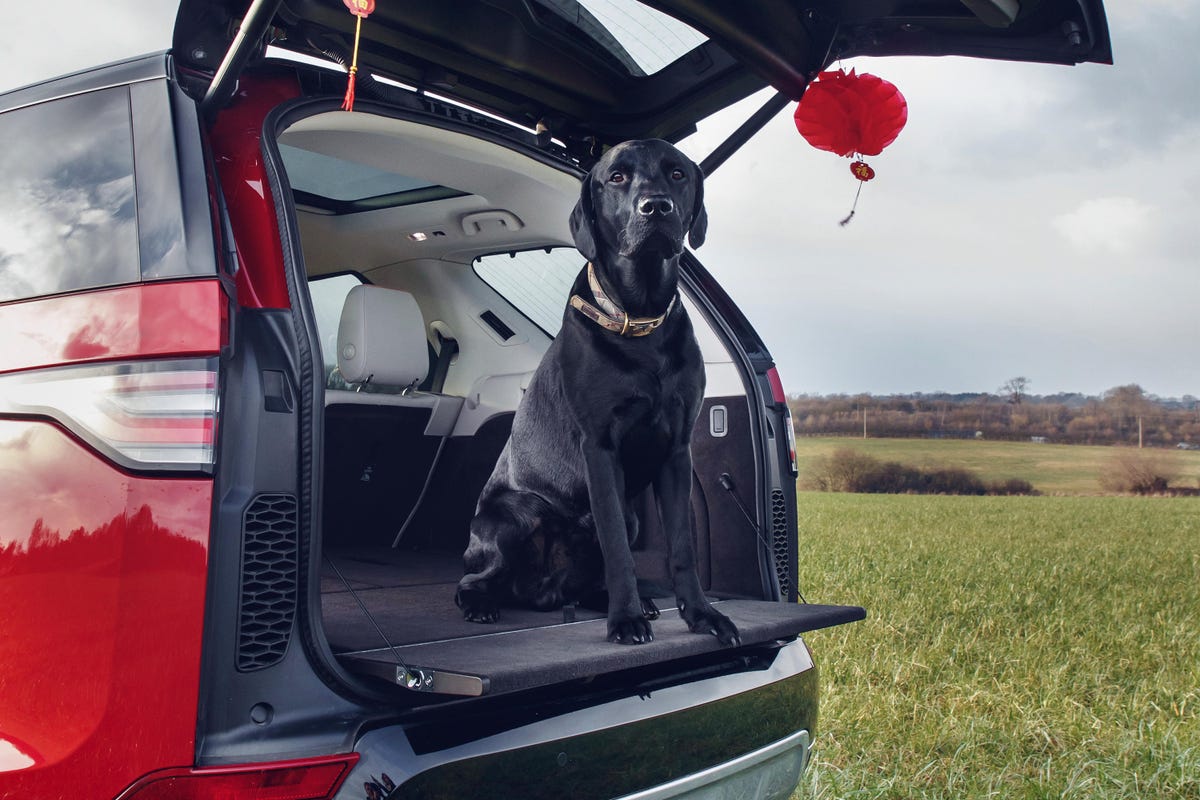 land-rover-pet-pack-promo