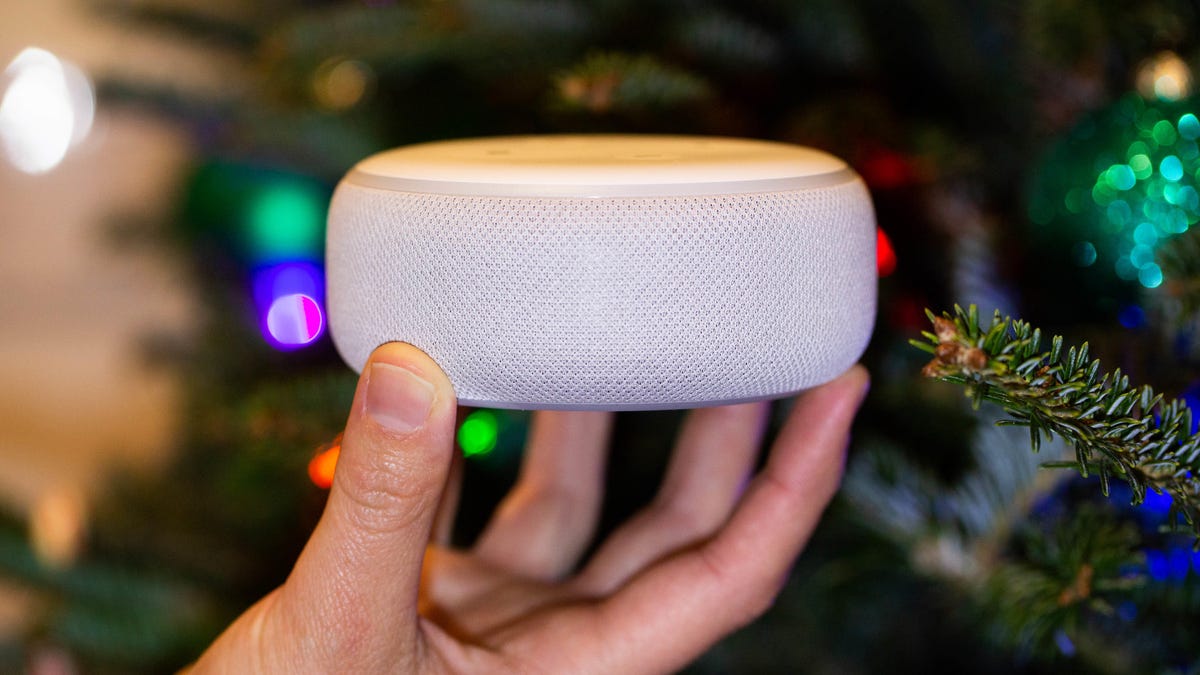hand holding echo device in front of Christmas tree