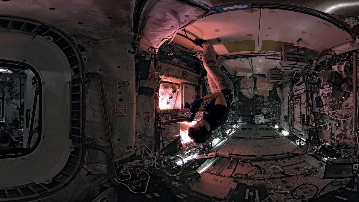 Anne McClain floats upside down in a darkly lit ISS module