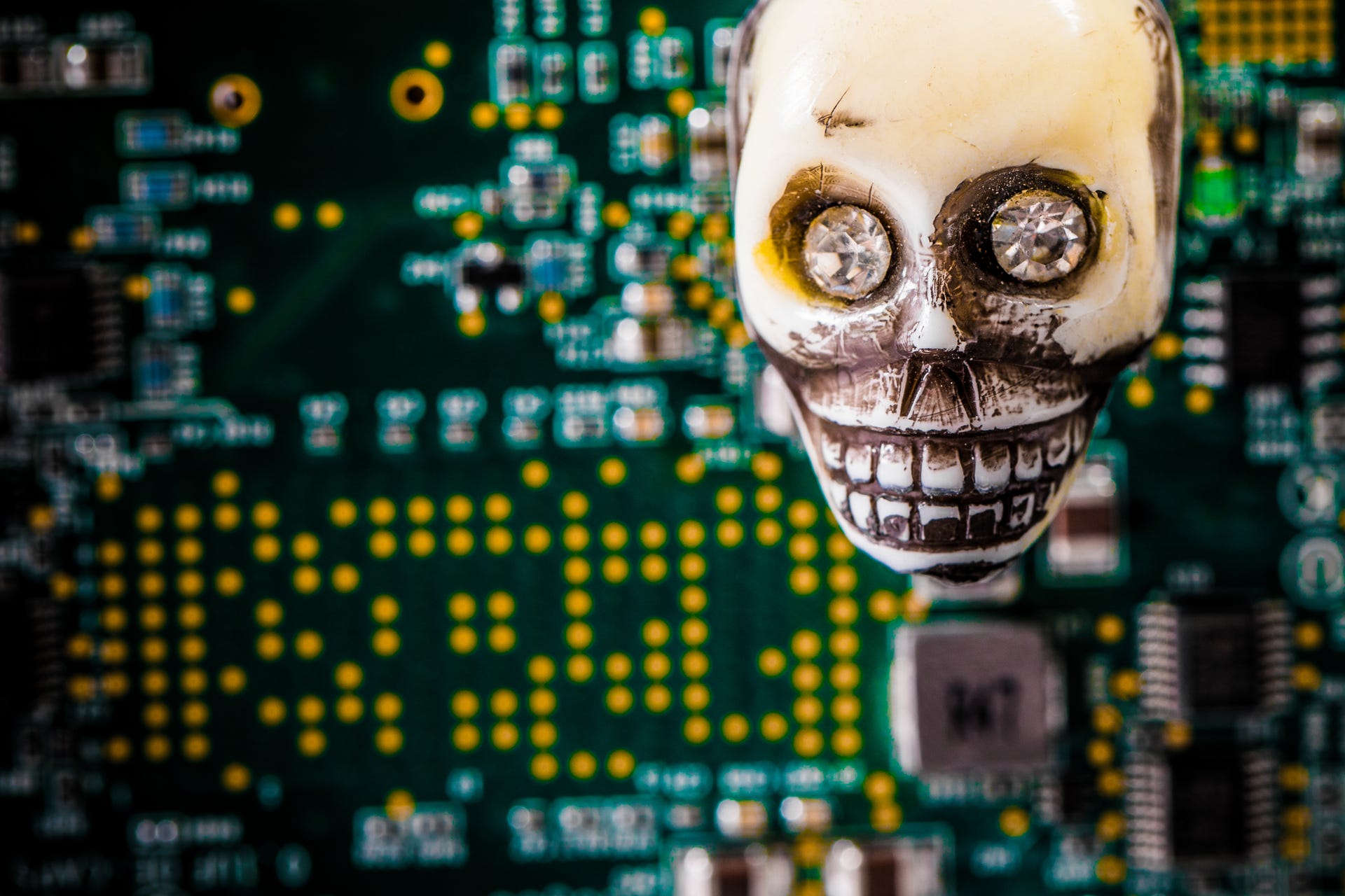 Skull and circuit board