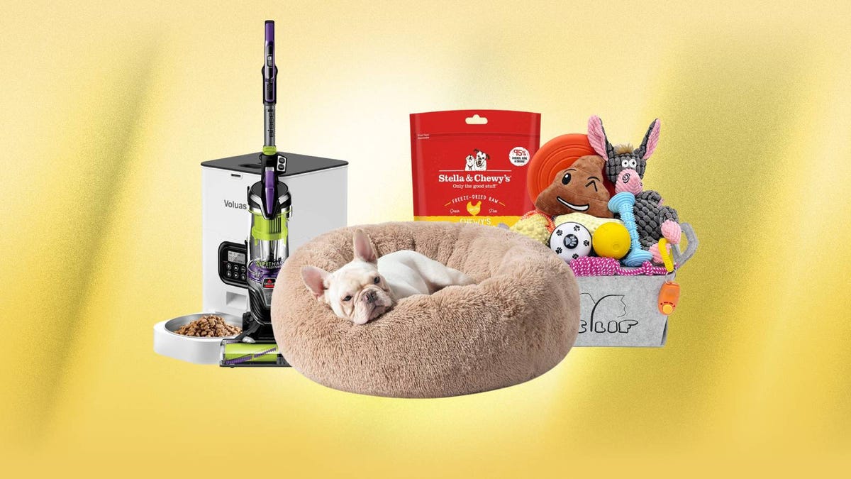 A collection of pet supplies against a yellow background.