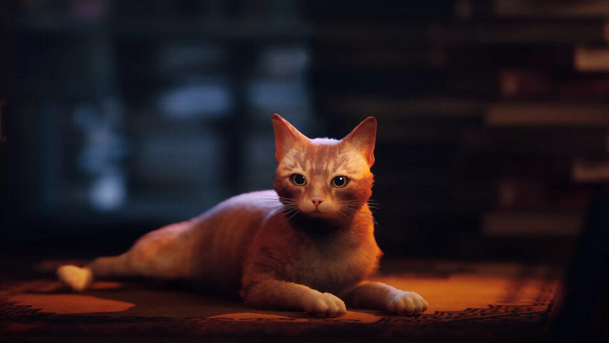An orange cat lays down with a dark background behind it. From the Stray game trailer.