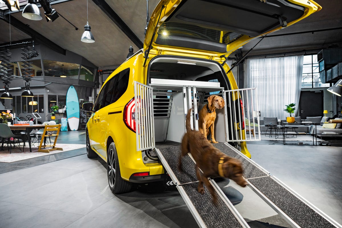 yellow van with dogs