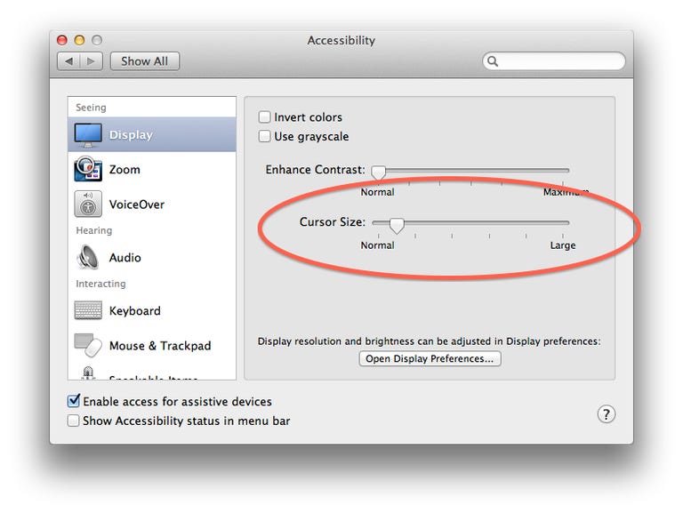 Accessibility system preferences