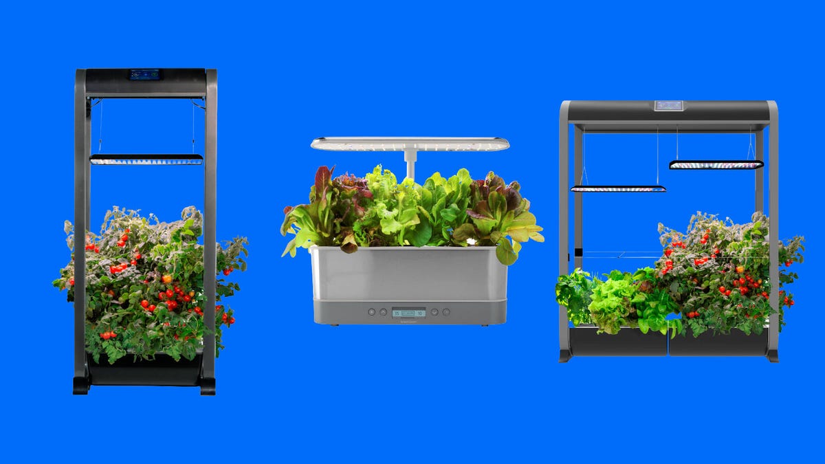 3 different indoor AeroGarden options are displayed against a blue background.