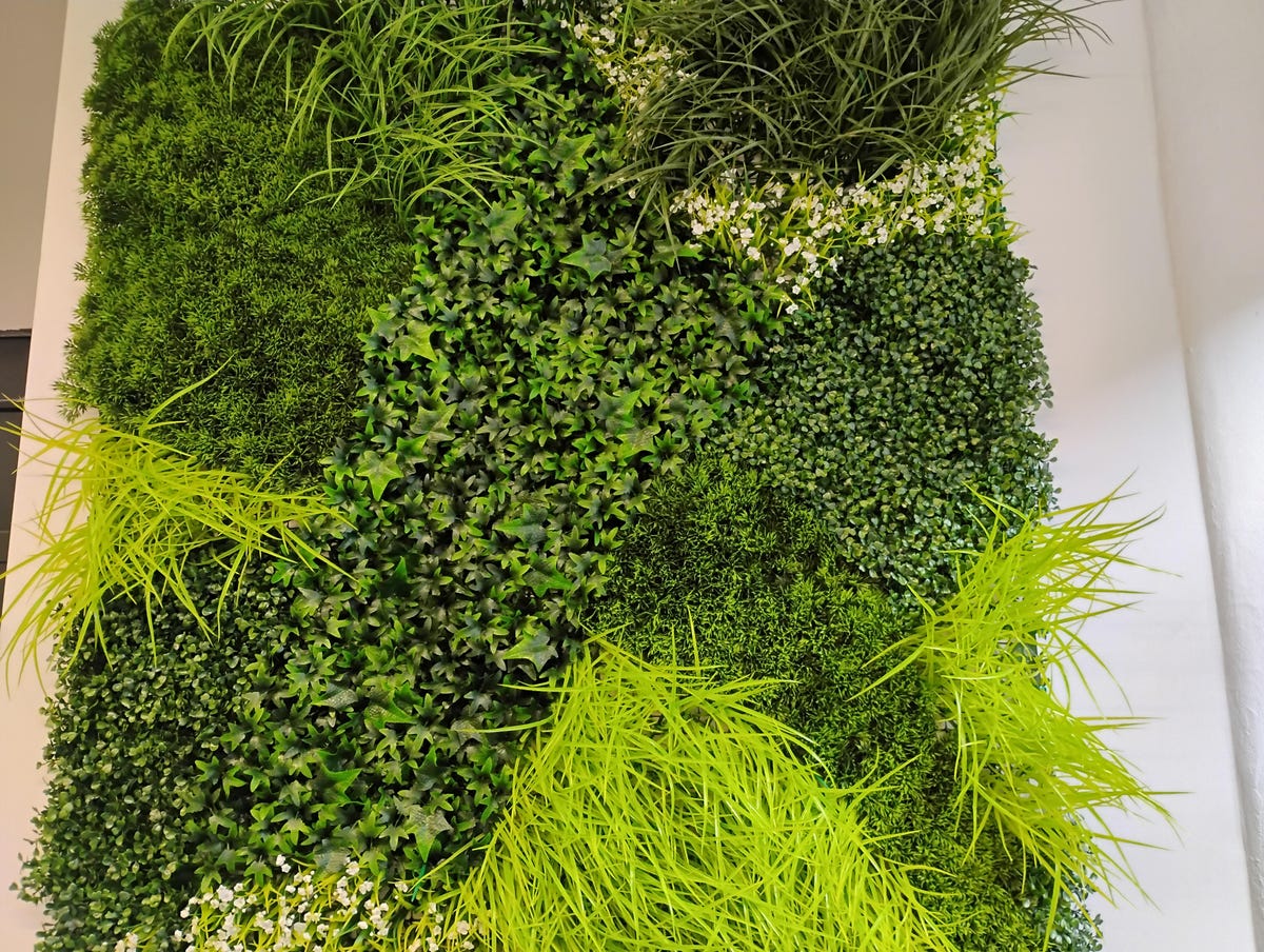 Grass wall at CNET's office.