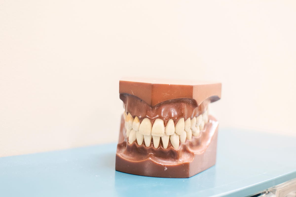 3d-model-of-teeth