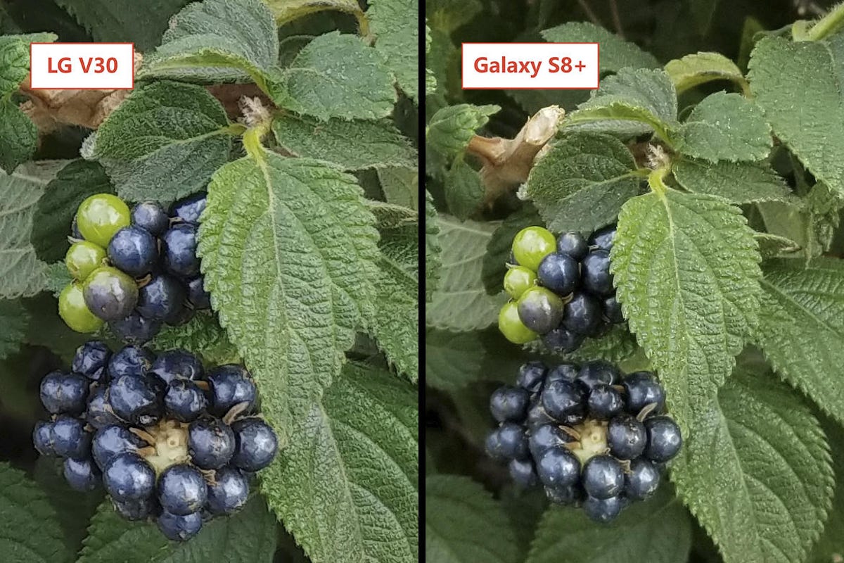 berries-lgv30-vs-samsung-s8-plus