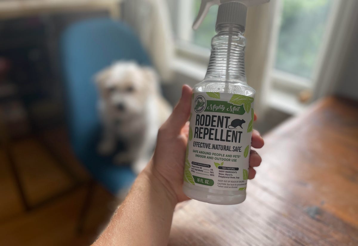 peppermint spray in front of cute dog
