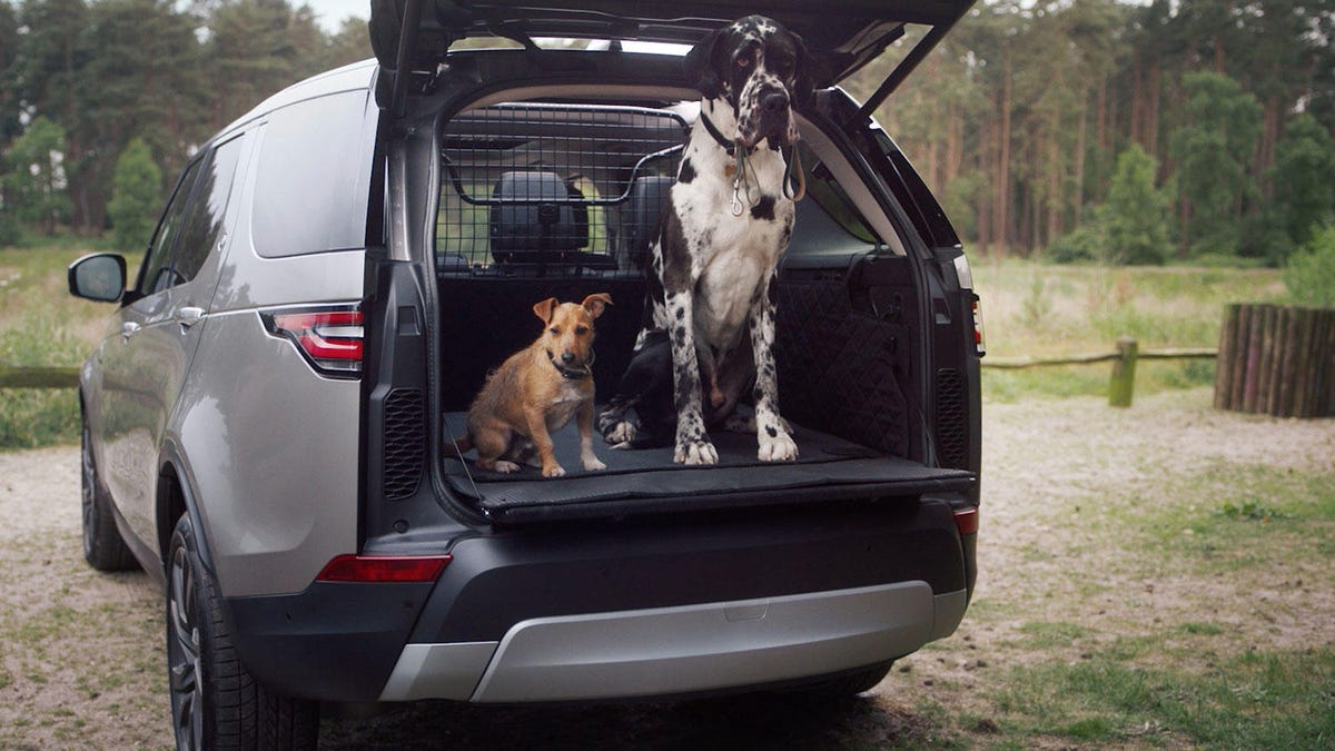 Land Rover pet protection package