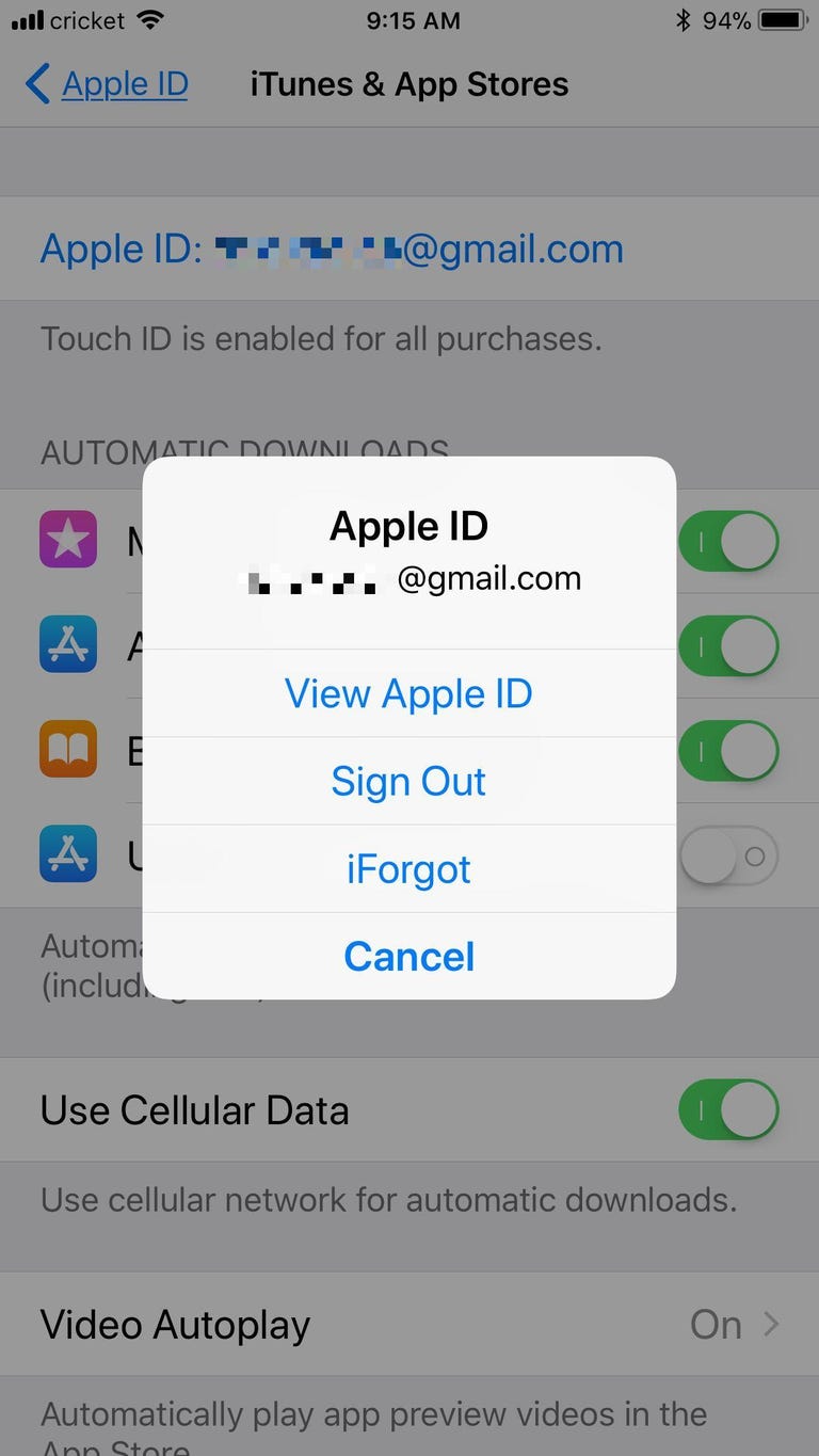 ios-apple-id-sign-in
