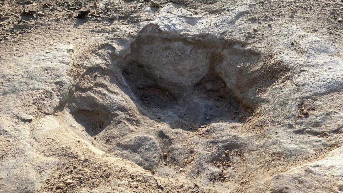A close up look at a dinosaur footprint preserved in light-colored ground exposed by drought.