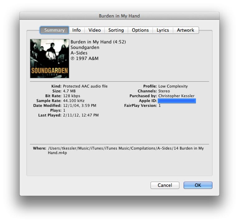 iTunes information window
