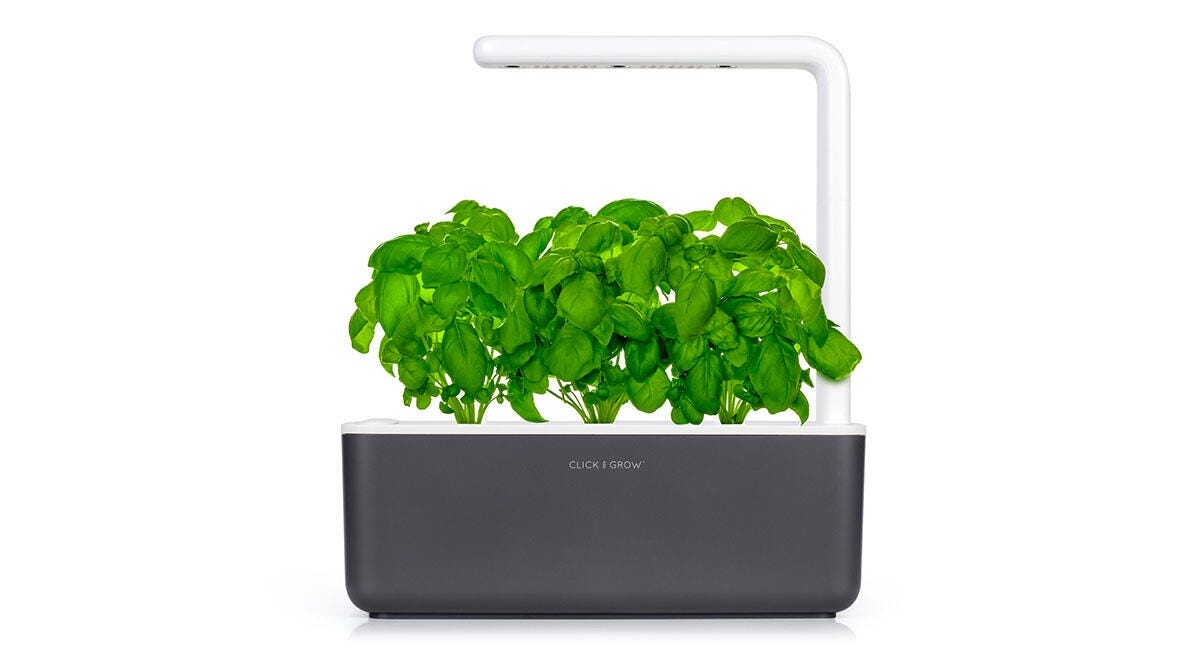 walmart-100-click-and-grow-plant-cnet