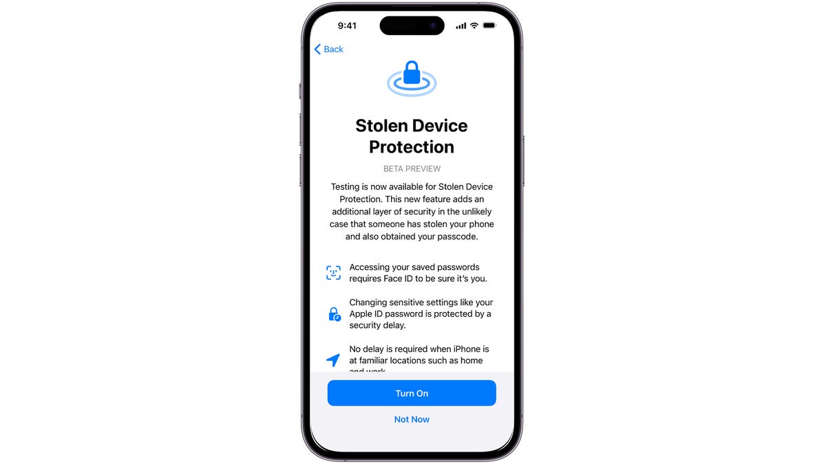 An iOS screen with "Stolen Device Protection" on the screen and details of the new feature.