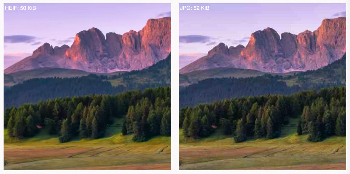 These cropped-in views of a larger image show how HEIF, left, offers richer colors and fewer speckly artifacts near high-contrast borders compared to a JPEG of about the same size.