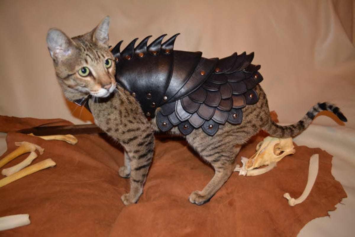 Mice and dogs alike will think twice before picking a fight with a cat wearing this battle armor for sale on Etsy.