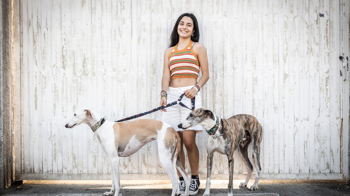 Woman walking two dogs on leashes