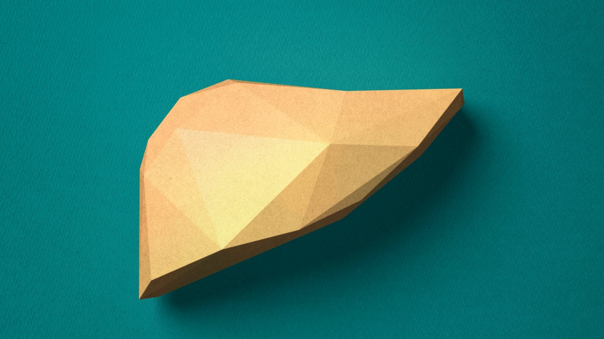 A stylized illustration of a yellow liver against a teal backdrop.