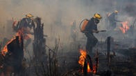 yellow hard hat wearing firefighters in navy suits walk through a scorched forest where tree stumps are burning.