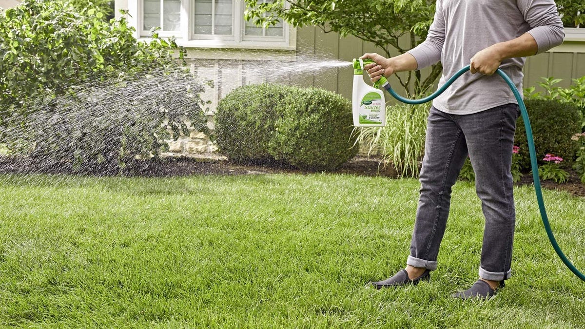 A man sprays down his lawn with a hose connected to a bottle of Scotts new grass starter food.