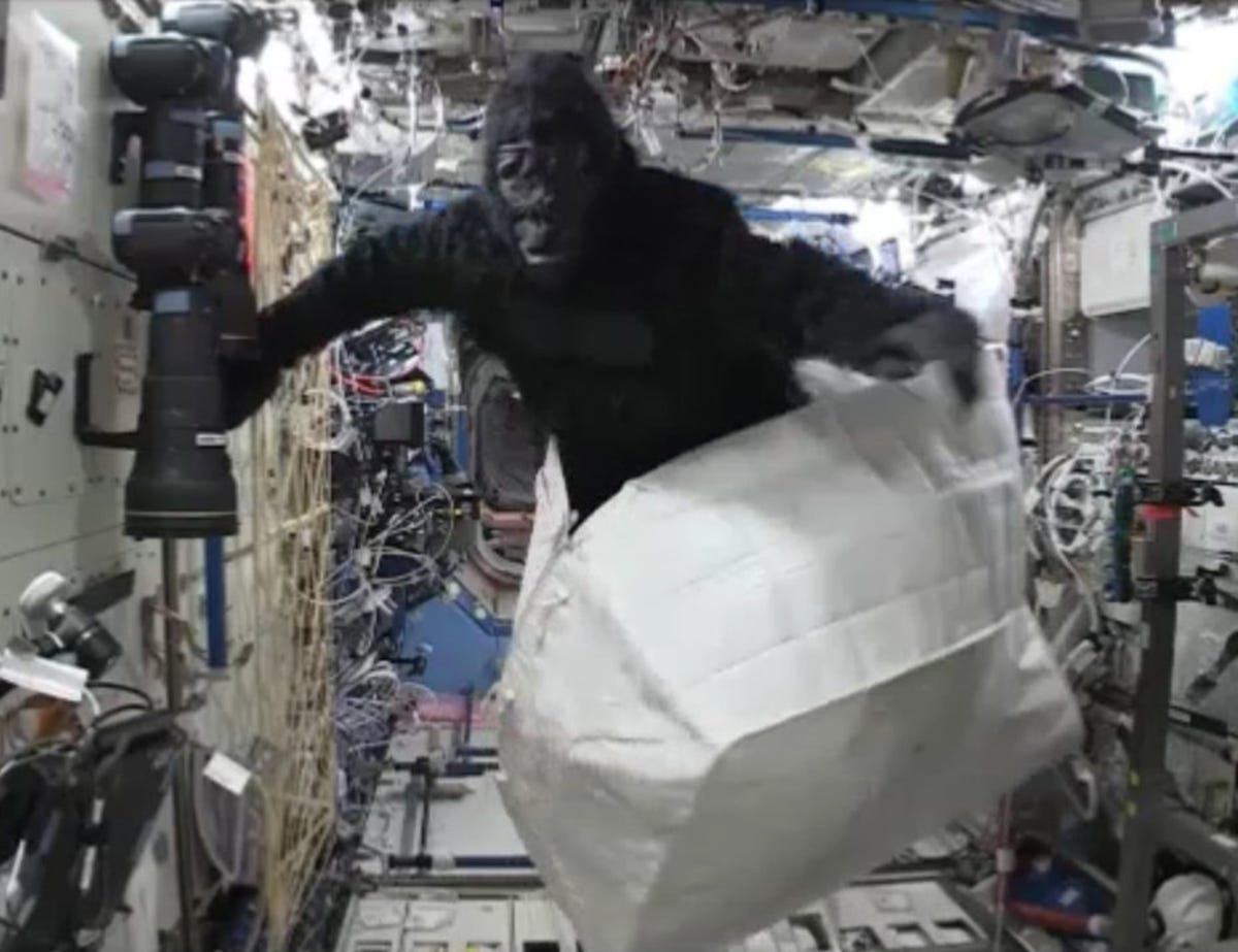 An astronaut in a gorilla costume pops out of a white container on the ISS.