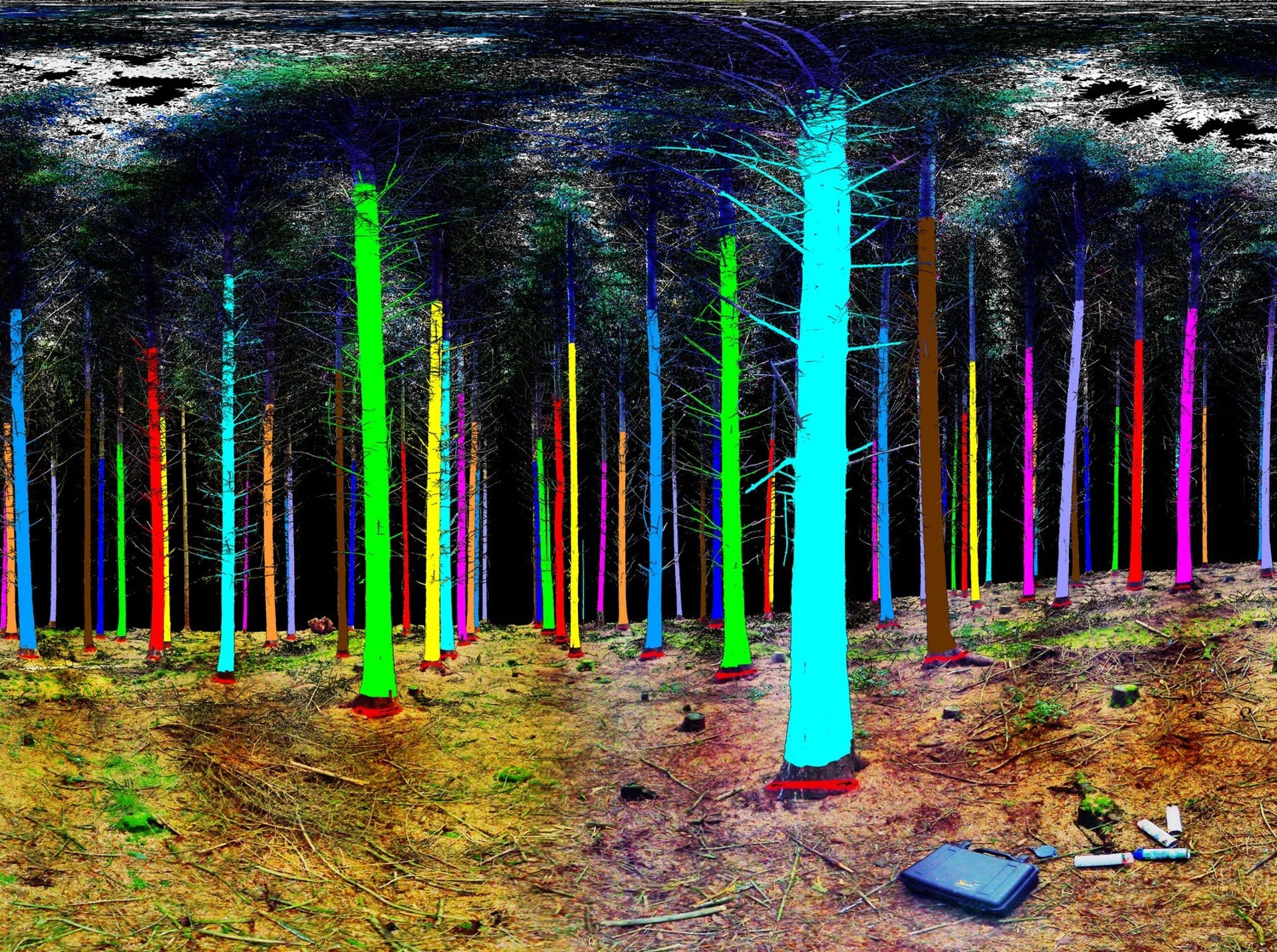 Trees turn psychedelic the eyes of a 3D laser scanner - CNET