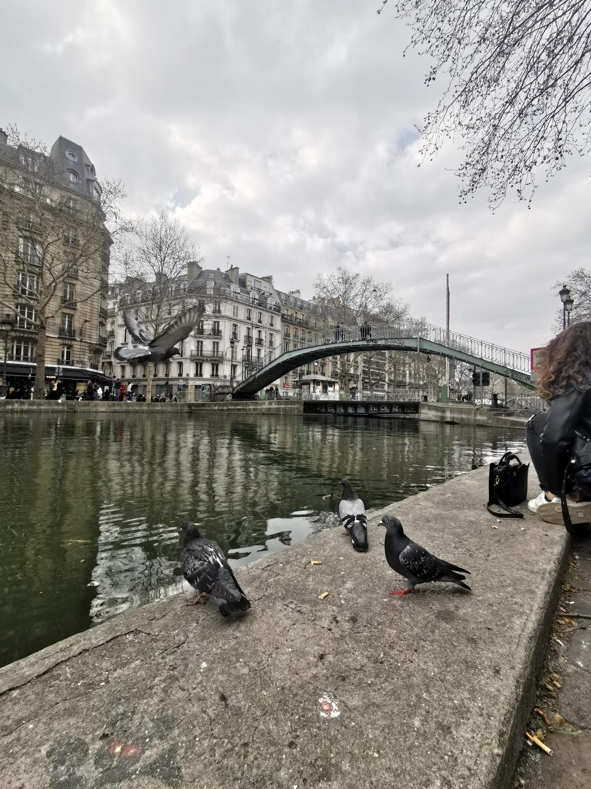 canal-pigeons-p30-pro
