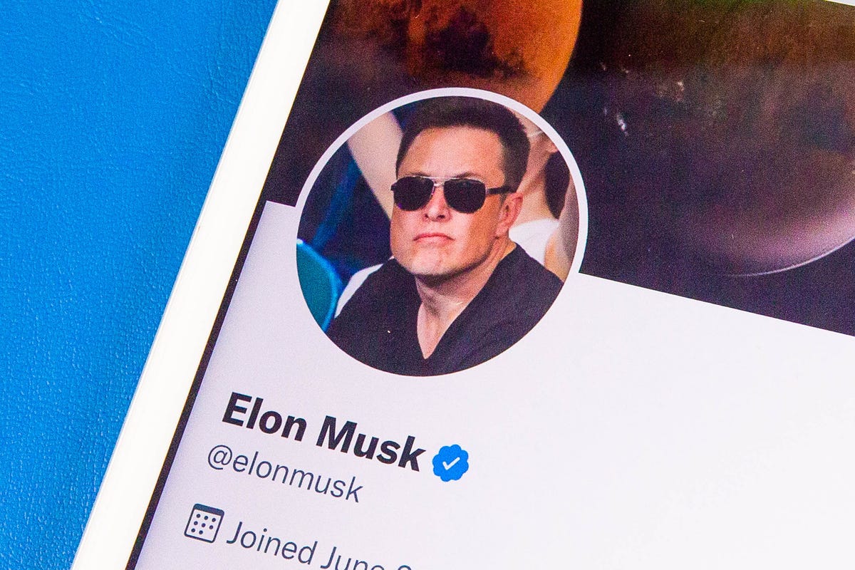 Elon Musk's profile picture on his Twitter page