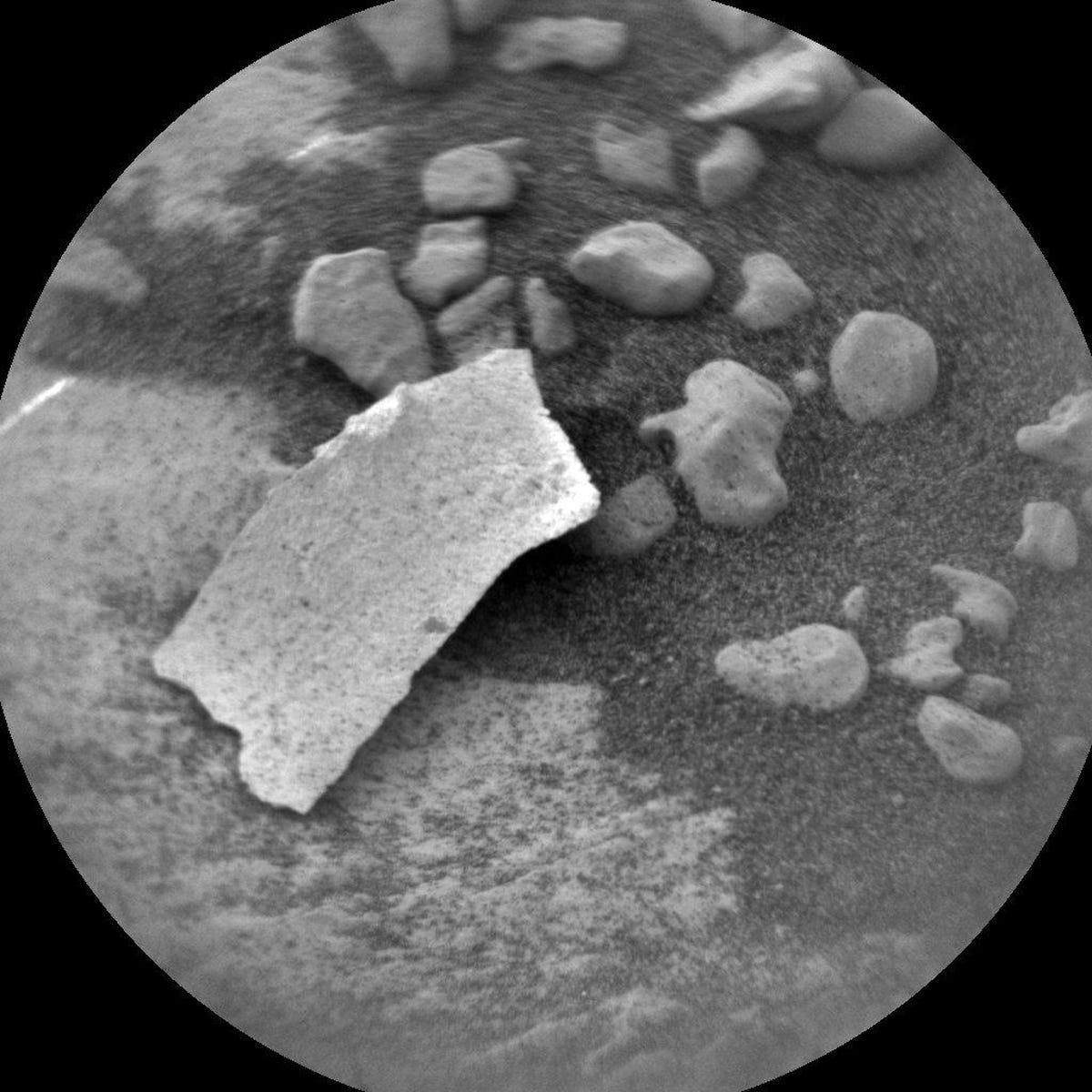 Flaky piece of Martian rock looks like a slice of dried coconut.
