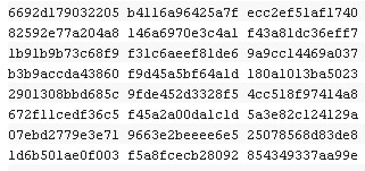 These are some of the 376 lines of HDCP master key code posted to the Internet.