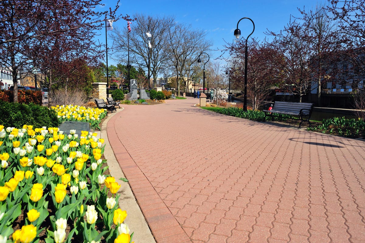 Tulips line a portion of the riverwalk along the DuPage River in Naperville, Illinois.