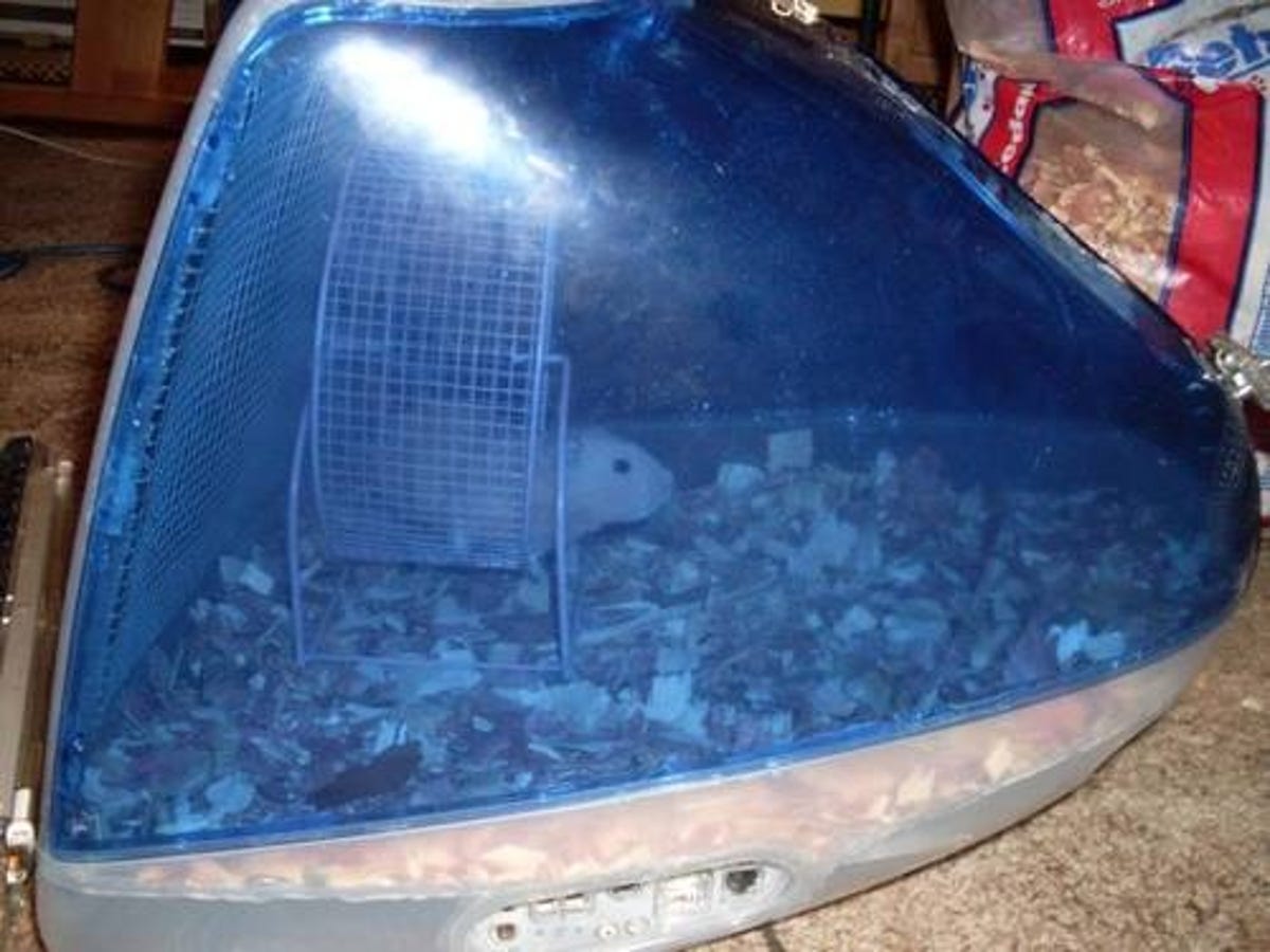 iMac hamster cage