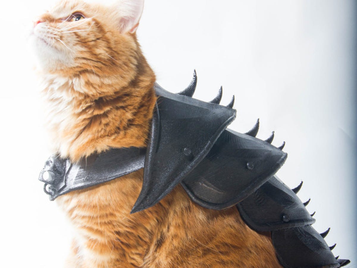 Cat armor