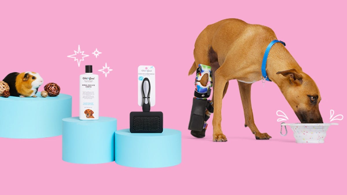 A dog, hamster, pet shampoo and hair brush against a pink background.