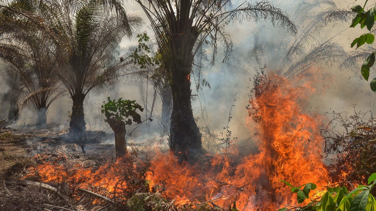 INDONESIA-ENVIRONMENT-FIRE