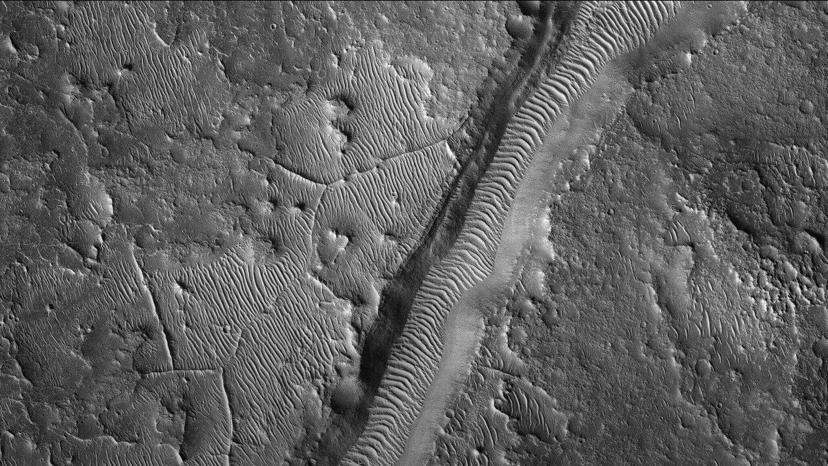 Black-and-white landscape view of Martian surface shows wrinkly looking ridges.
