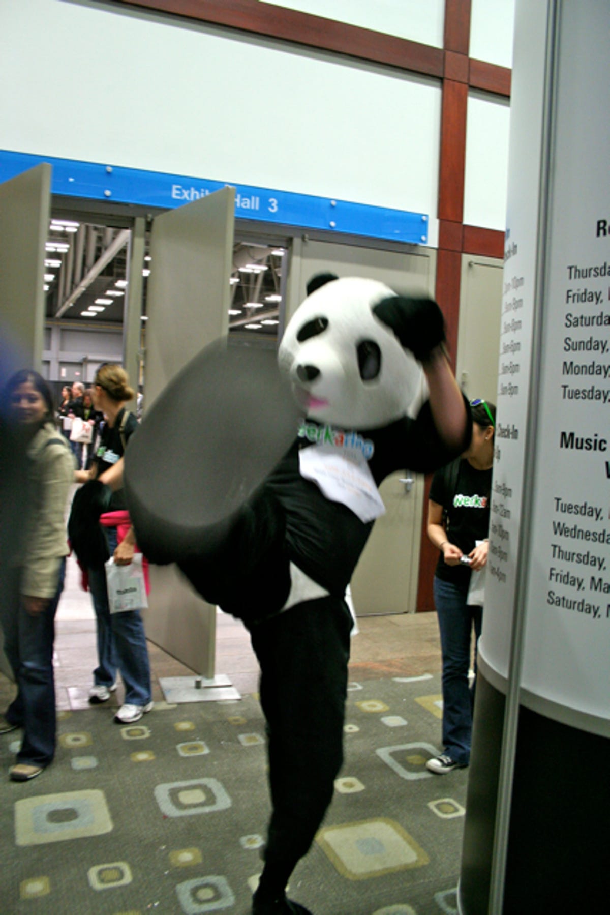SXSW-Kicking_panda.jpg