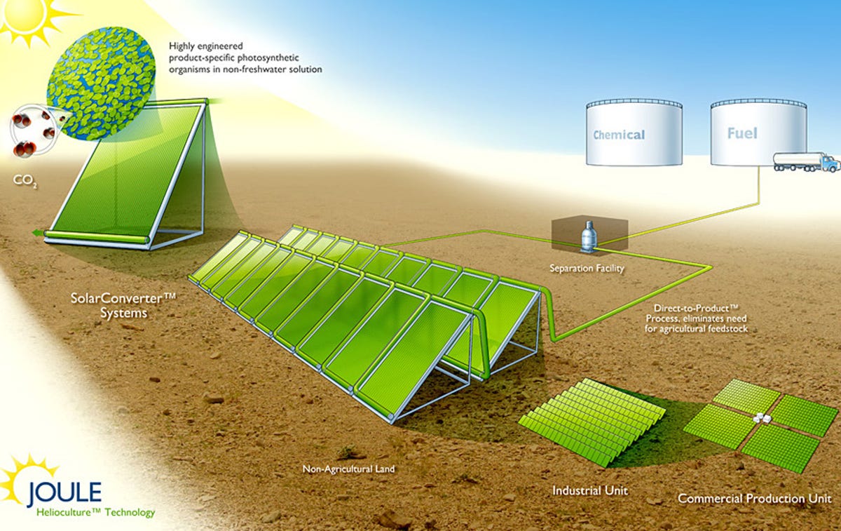 A diagram of how a Joule facility would work with bioreactors growing micro-organisms with sunlight and CO2 in water. A separator removes the end product--liquid fuel or chemicals.