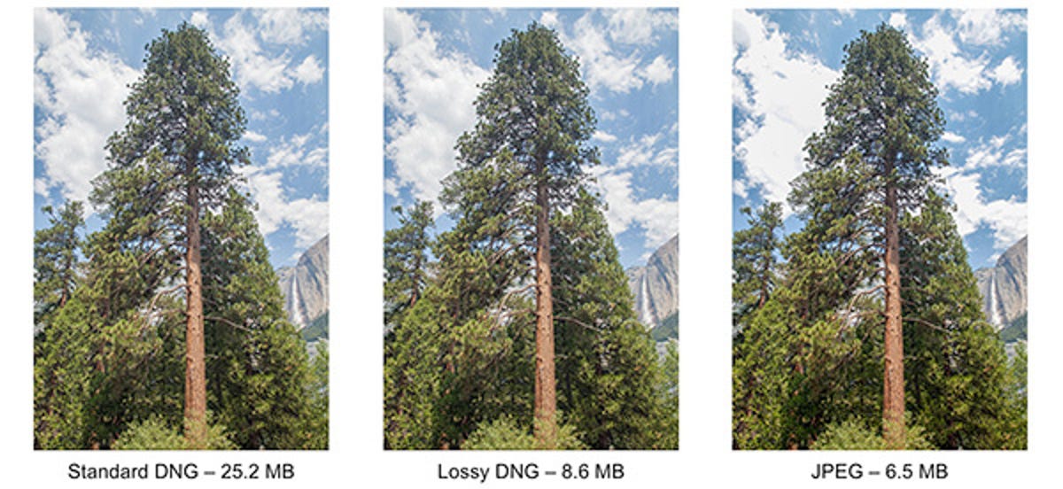 Lossy DNGs, supported in Adobe Lightroom since version 4 was released earlier this year and defined in the new DNG 1.4 spec, cuts the file size of regular DNG files significantly while preserving some of the image quality and flexibility of the original raw data. Note how the clouds aren't as washed out as in the JPEG image.