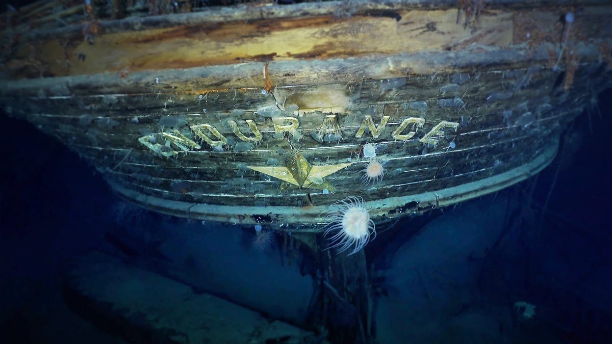 Berühmtes arktisches Schiffswrack „in der Zeit eingefroren“ gefunden – Video