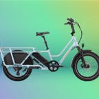 radwagon-4-electric-cargo-bike.png