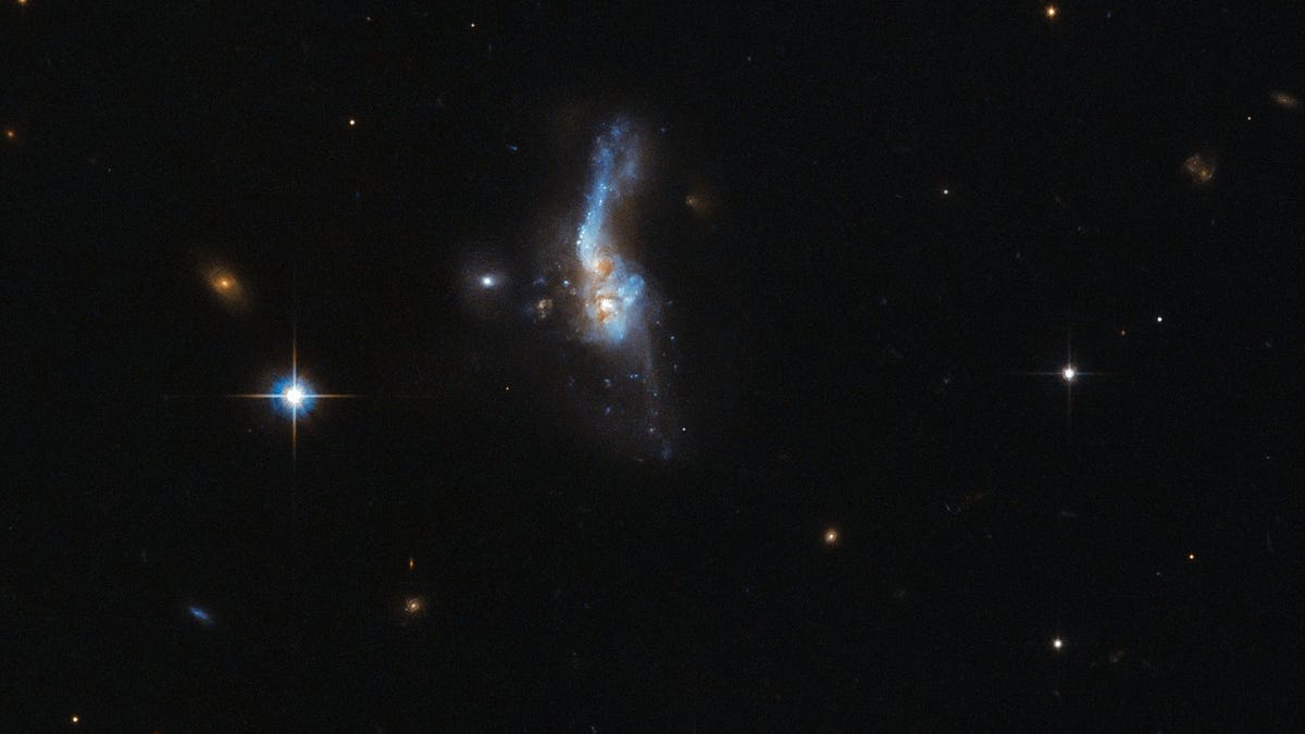 hubblegalaxies.jpg